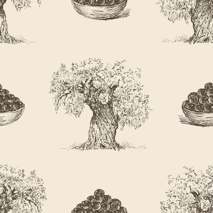Vector seamless background of olive trees and ripe olives sketches
