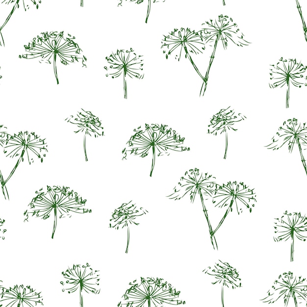 Vector seamless background of sketches of inflorescence of umbellate flowers
