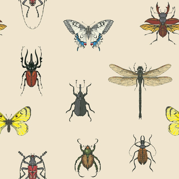 Vector seamless background with insects