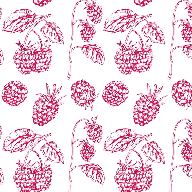 Seamless background with raspberries, vector image