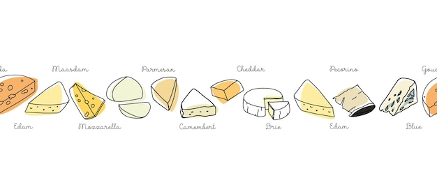 Seamless banner of different cheeses with names cheeses. Vector set contours of dairy products