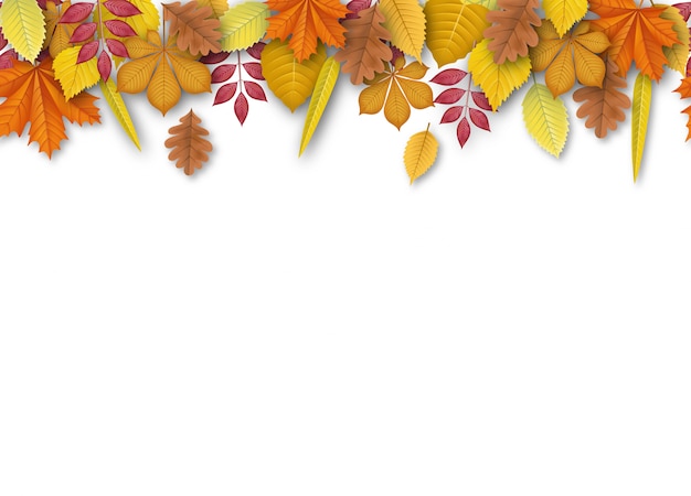 Seamless banner with autumn leaves