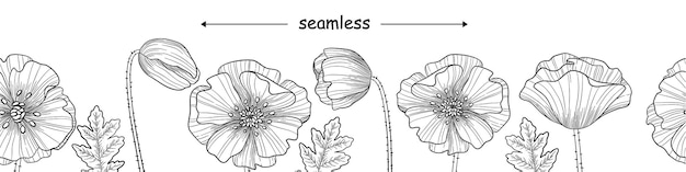 Seamless border banner with Poppies