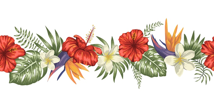 Vector seamless border brush of green tropical leaves with plumeria, strelitzia and hibiscus flowers on white background.