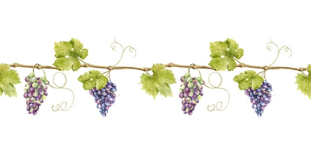 Seamless border of bunch red grapes with leaves Banner of vine Isolated watercolor illustrations for design of labels of wine grape juice and cosmetics wedding cards stationery greetings cards