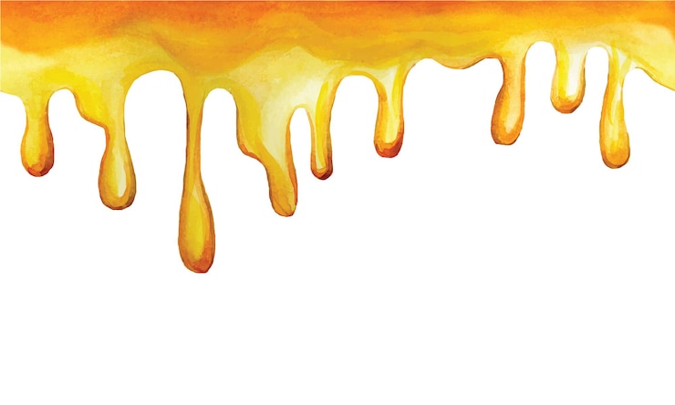 Vector seamless border drips of yellow honey watercolor drawing frame border with yellow honey dripping