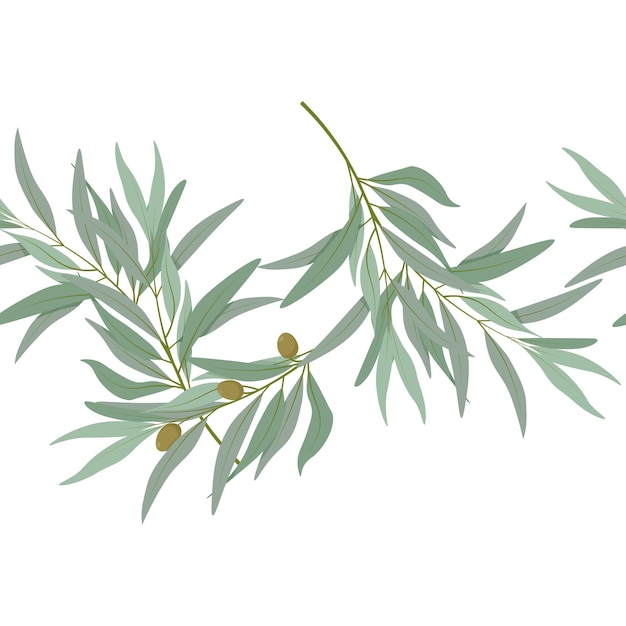 Вектор Бесшовная окраска оливковых ветвей с оливками