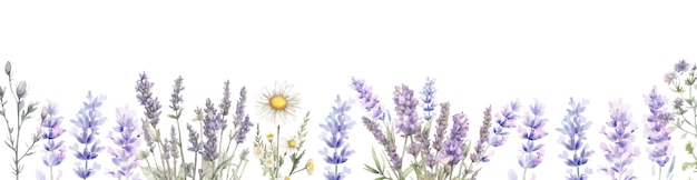 Seamless border of tender watercolor lavender flowers border