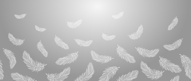 Vector seamless border white feathers falling on a gray background feather abstract concept of freedom