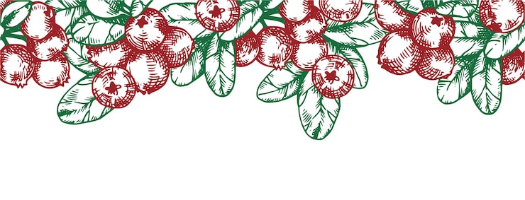Vector seamless border with cranberries vector frame in sketch style