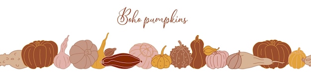 Seamless border with different pumpkins in boho color style