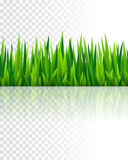 Vector seamless border with grass and flowers