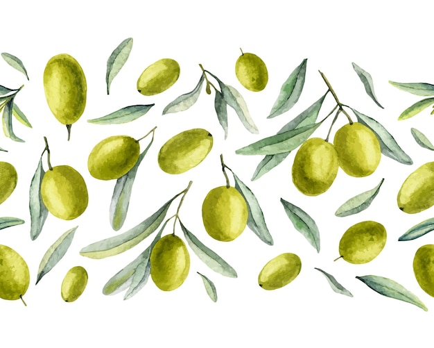 Bordo senza giunte con i frutti delle olive