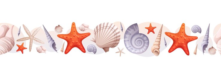Vector a seamless border with shells and starfish beach marine illustration summer vacation