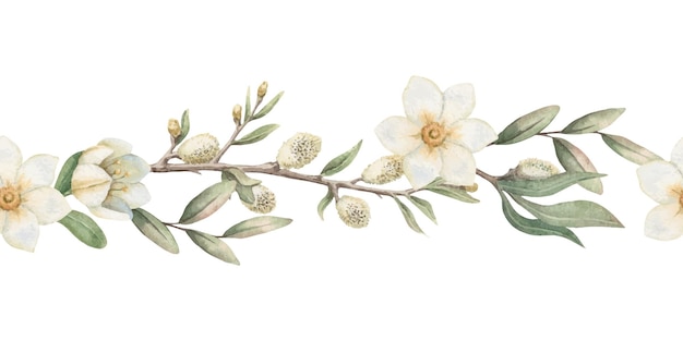 seamless border with white flower and blooming willow in vintage style hand drawn watercolor
