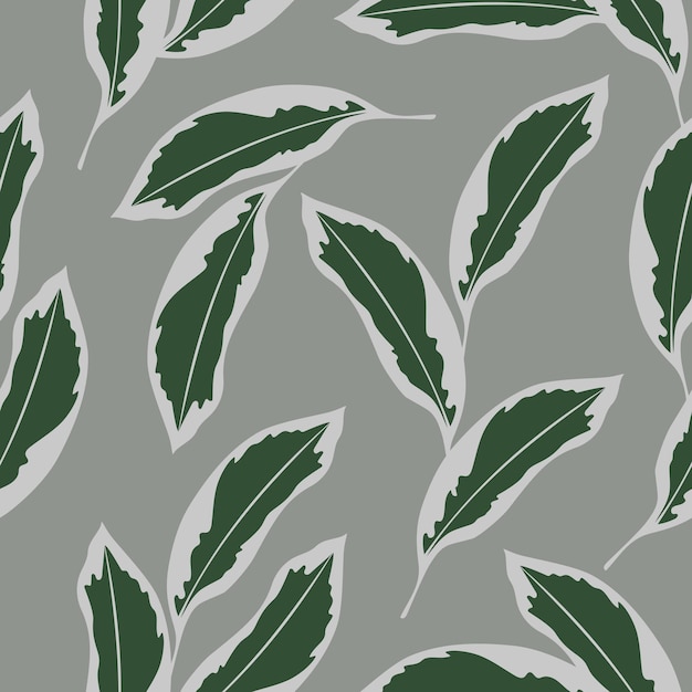 Seamless botanical pattern ficus leaves gray background nature print vector postcard flat design