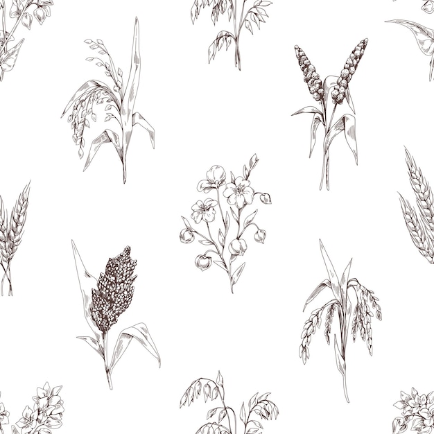 シームレスなシリアルのパターン。ヴィンテージの背景に穀物作物、小穂が刻まれています。レトロなスタイルで植物の絵を描いたテクスチャデザインを繰り返します。ラッピング用の手描きベクトルイラスト。
