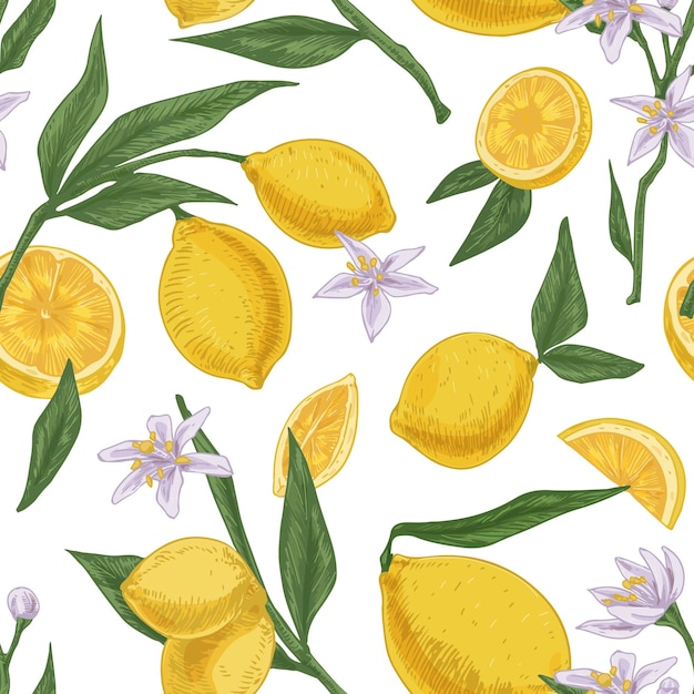 Vector seamless citric pattern with citrus fruits, flowers and leaves of blooming lemon tree on white repeatable background. endless texture in retro style. drawn colored vector illustration for printing.