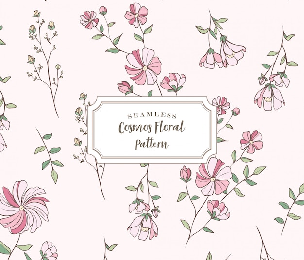 Vector seamless cosmos floral pattern