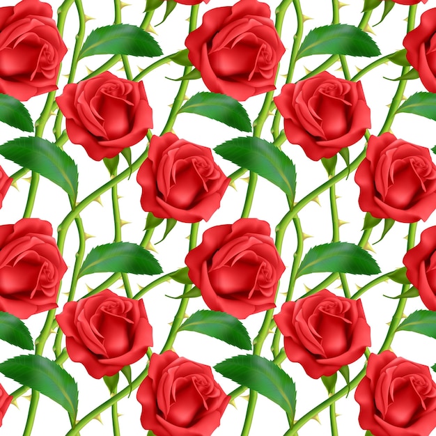 Seamless, endless pattern with roses and thorns, bright pink roses on white background, design for your packing. vector eps 10 illustration