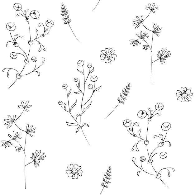 Vector seamless field flowers and grasses elements vector pattern