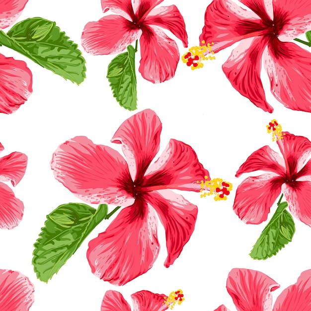 Seamless floral pattern Hibiscus flowers background