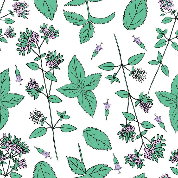 Vector seamless floral pattern mint branch peppermint leaves blossoming oregano flowers vector