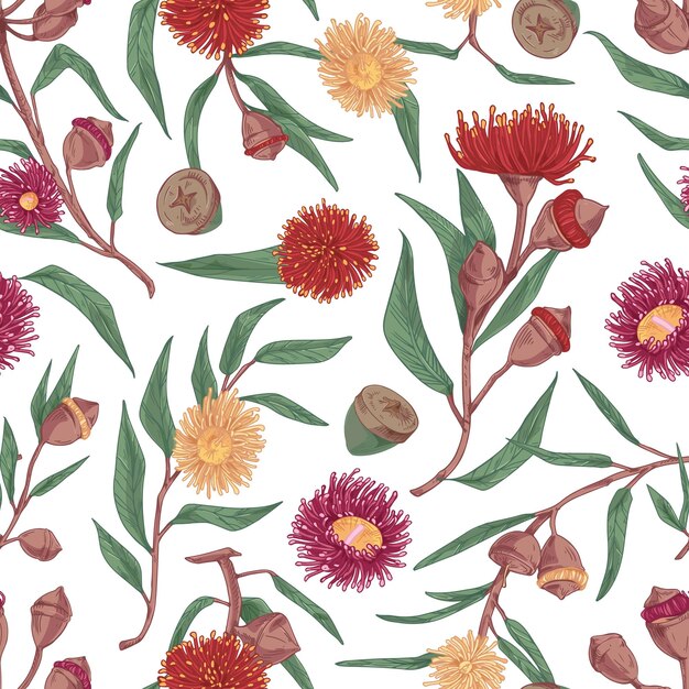 Вектор Беспрепятственный цветочный рисунок с цветущими цветами эвкалипта на белом фоне. бесконечная ботаническая текстура для печати и декорации. ручная цветная векторная иллюстрация в ретро-стиле.