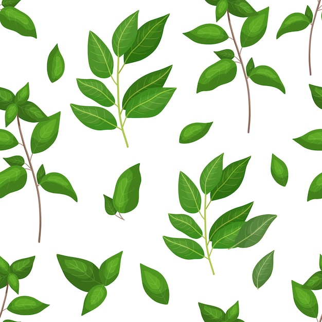 Seamless floral pattern with hand drawn leaves on white