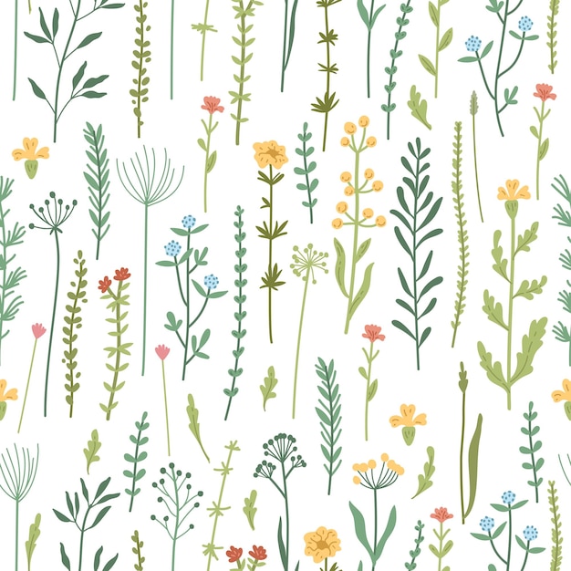 Seamless floral pattern with hand drawn plants leaves wild flowers