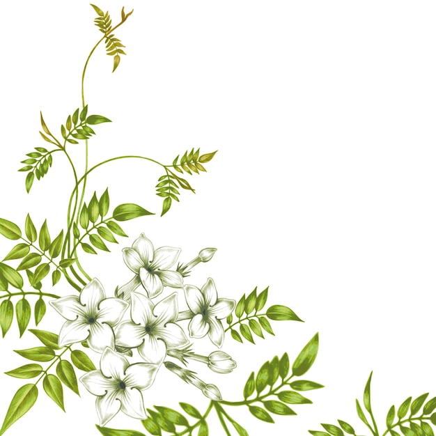 Вектор Бесшовный цветочный узор с цветами жасмина.