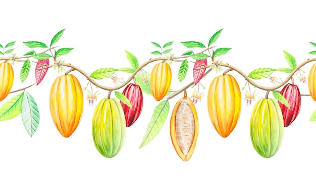 Seamless garland of cocoa branches border with cocoa fruits watercolor