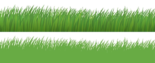 Vector seamless grass isolated on white background