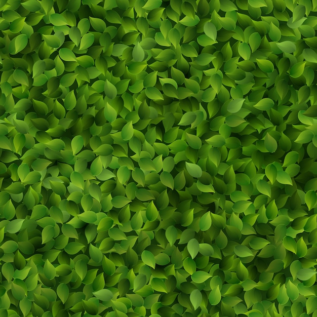 Vector seamless green leaves pattern spring or summer fresh background.