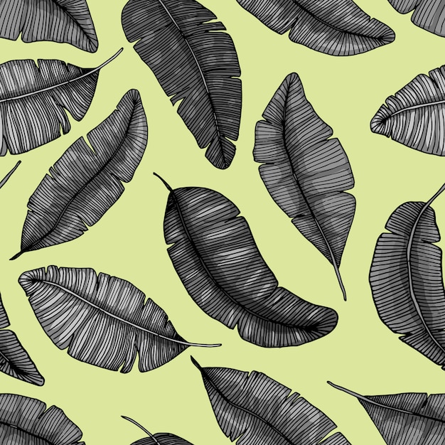 Seamless hand drawn pattern with banana leaves tropical  texture botanic     illustration