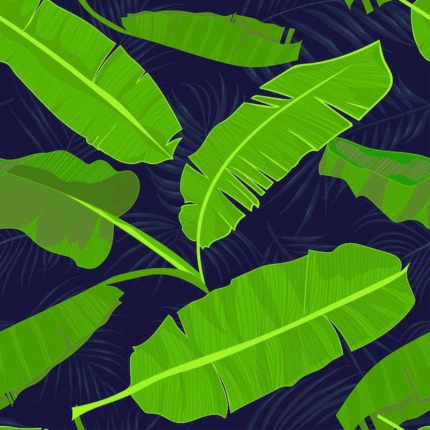 손바닥 바나나와 함께 매끄러운 손으로 그린 열대 패턴은 어두운 배경에 정글 이국적인 잎을 남깁니다.