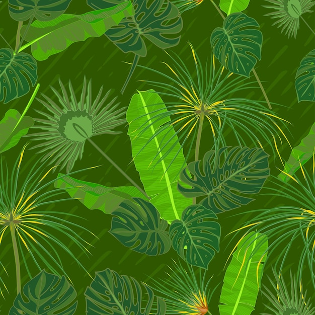 어두운 배경에 야자나무 잎 정글 이국적인 잎을 가진 매끄러운 손으로 그린 열대 패턴