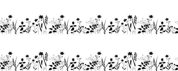 Seamless horizontal ornament of field herbs and plants Black silhouettes of medicinal flower