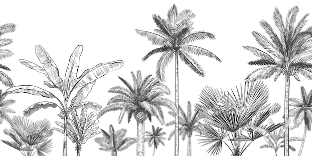 Vettore sfondo tropicale orizzontale senza soluzione di continuità. palme disegnate a mano, foglie esotiche della giungla tropicale di schizzo e illustrazione della carta da parati della palma del paradiso.