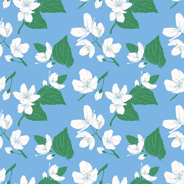 Vector seamless illustration of cherry apple jasmine flowers pattern