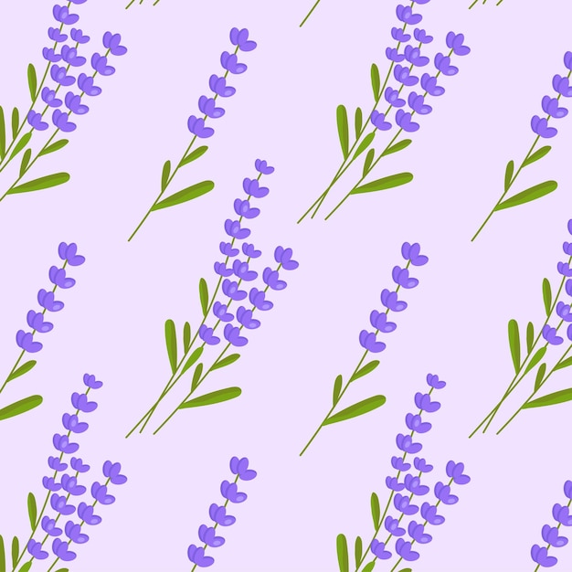 Seamless lavender flowers pattern on white background