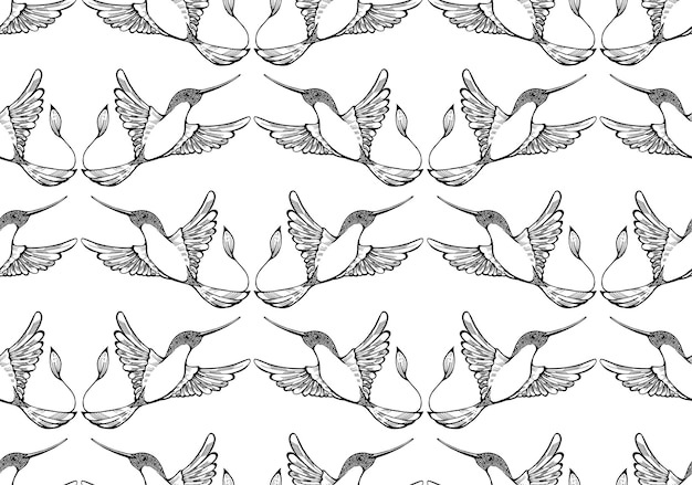 Seamless module pattern with hummingbird. Black and white outline picture.