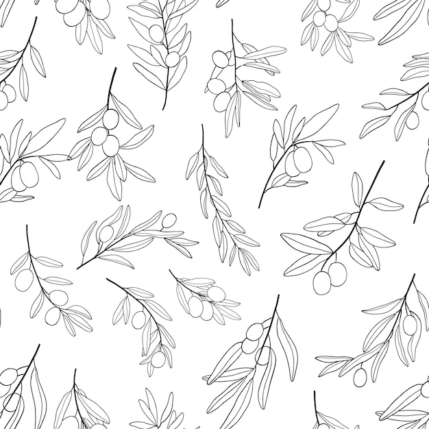 지중해 요리의 흰색 음식에 고립 된 올리브 잎과 올리브 가지 선 그림과 원활한 흑백 패턴