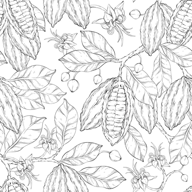 Vector seamless outline pattern of cocoa leaves flowers and fruits of cocoa beans vector illustration