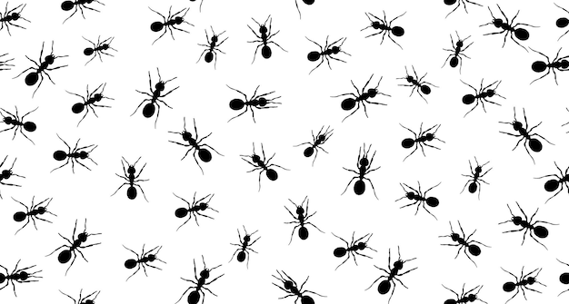 Seamless pattern of ants Realistic black ant on white background Path and ants Vector