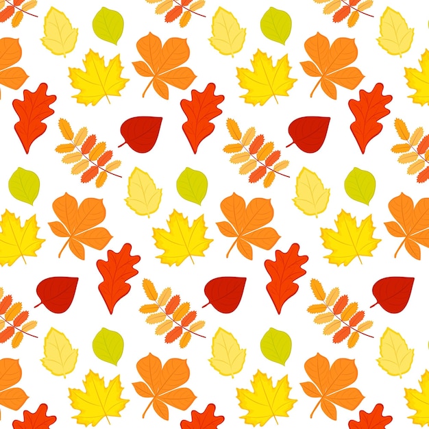 Seamless pattern of autumn leaves Various leaves on a white background Vector illustration