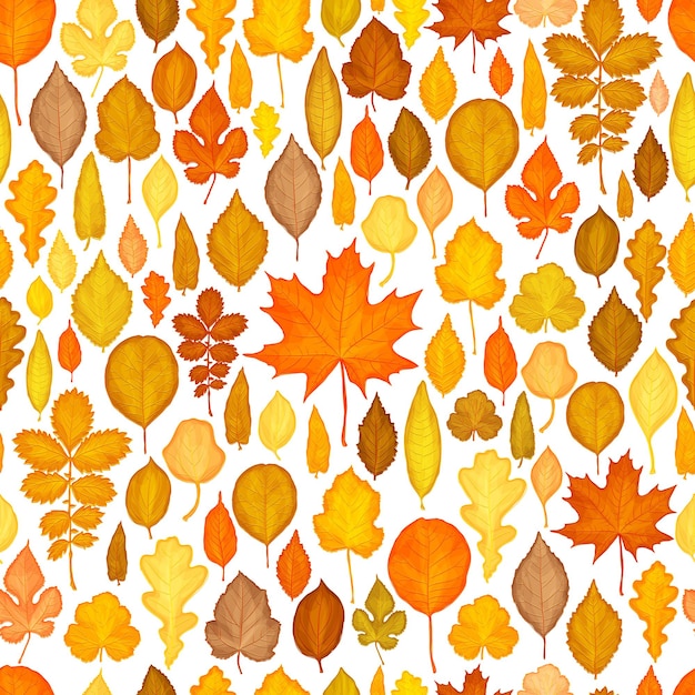 Seamless pattern of autumn leaves vector