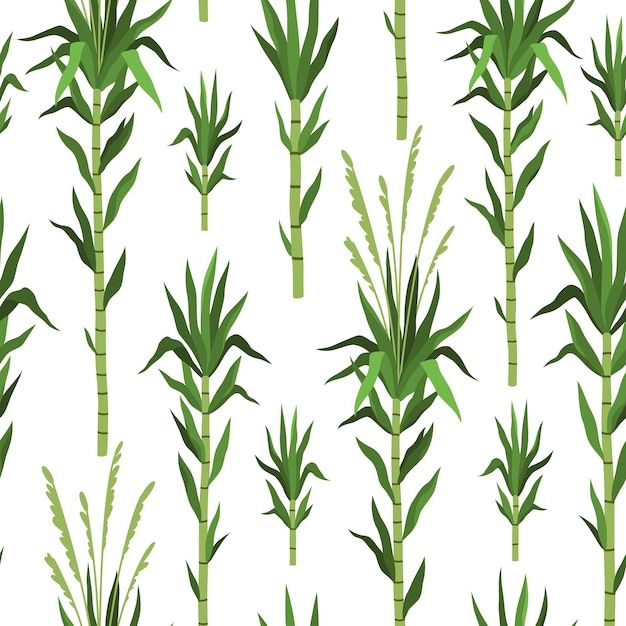 Vector seamless pattern bamboo tree sugarcane plant background green cane stems isolated leaves repeat tropical nature design vertical branches decor textile wrapping paper vector print