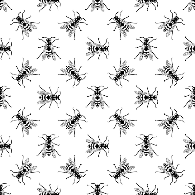 Seamless pattern of black wasp isolated on white background. vector illustration of wasp insect in line simple style.