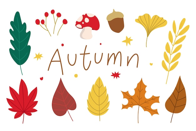 seamless pattern cat and pumpkin for autumn and halloween.